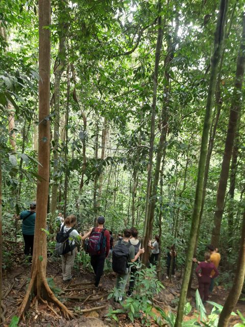 3D2N Orangutan Expedition:from Bukit Lawang - Inclusions and Exclusions