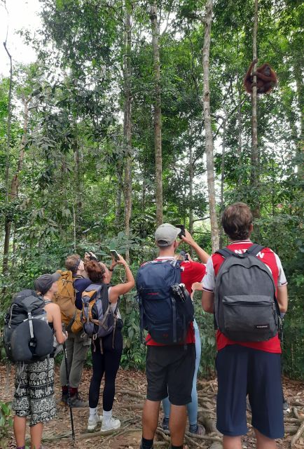 3D2N Orangutan Expedition:from Bukit Lawang - Getting to Bukit Lawang