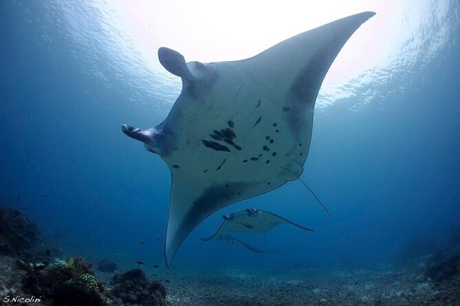 3D2N Sailing Komodo Living on Board Fiday to Sunday (Labuan Bajo) - Experiences of Previous Travelers
