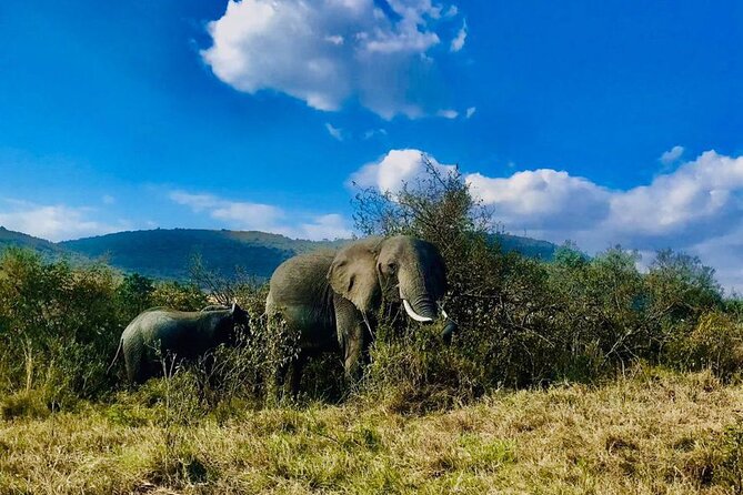 3days/2nights Group Joining Masai Mara - Safari Van Features