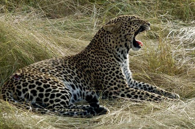 3days/2nights Group Joining Masai Mara - Group Size