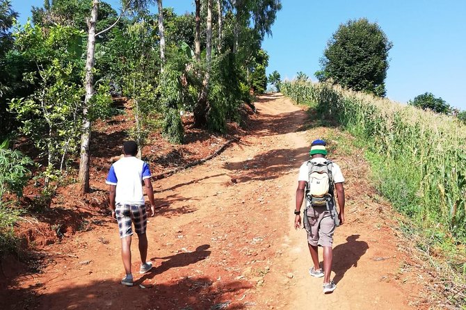 3days 2nights Tour to Uluguru Mountain and Mikumi National Park - Inclusions and Exclusions