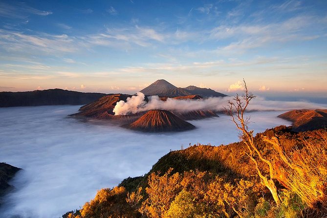 3Days - Adventure Bromo Ijen via Surabaya - Pickup and Meeting Points
