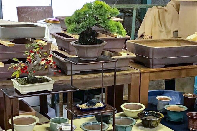 3Days-Bonsai & Sencha Tea Experience: Pastime of the Literati - Afternoon Bonsai Workshop