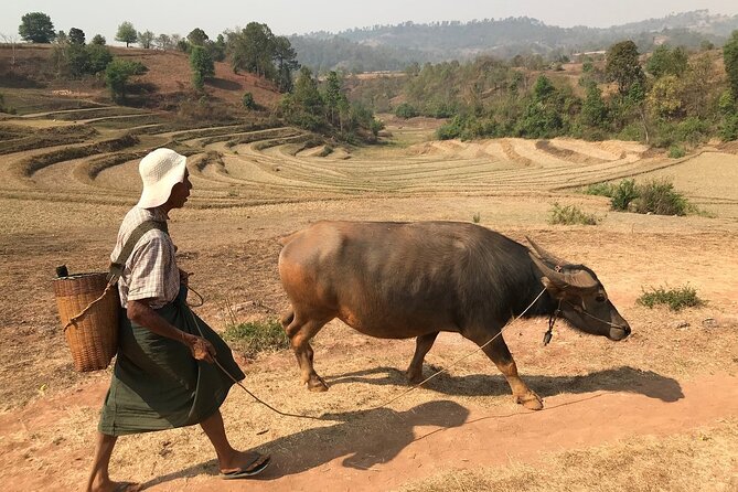 3DAYS Less Touristic Way Trekking From Kalaw to Inle - Accommodation and Meals