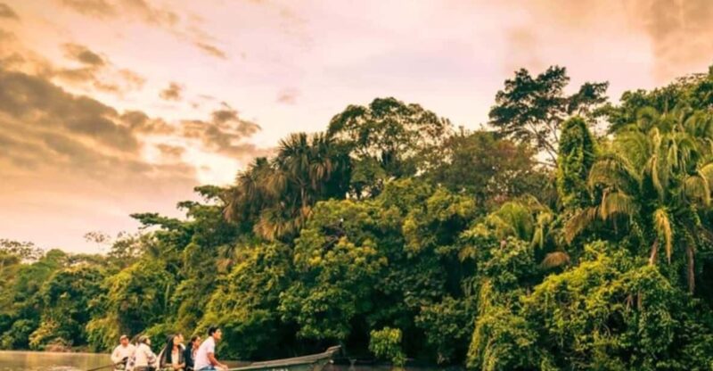 3DAYS|| Luxury Expedition to the Chuncho Macaw Clay Lick - Pricing and Booking Flexibility