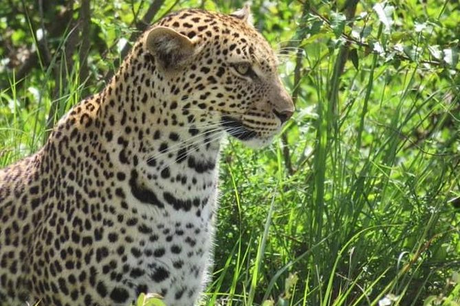 3days Masai Mara Best of Lodge Safari - Booking Information