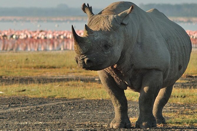 3DAYS Safari to Tarangire Ngorongoro and Manyara Lodge Safari - Booking Details
