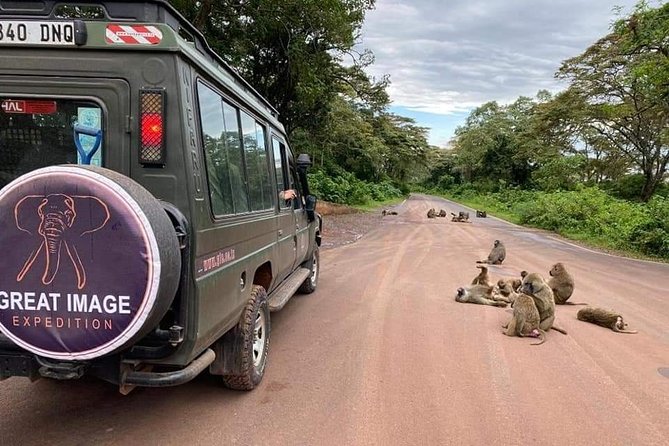 3days Serengeti National Park and Ngorongoro Crater Tanzania Safari - Accessibility and Suitability