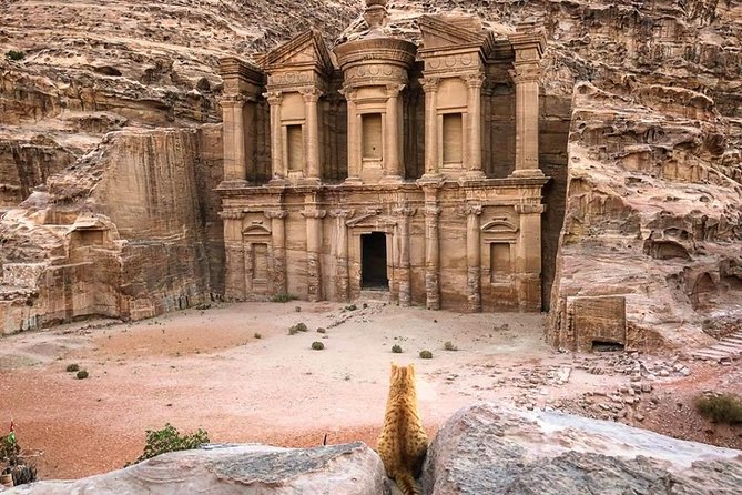 3DAYS Tour Petra & Wadi Rum From Amman, Dead Sea or Amman Airport - Wadi Rum Experience