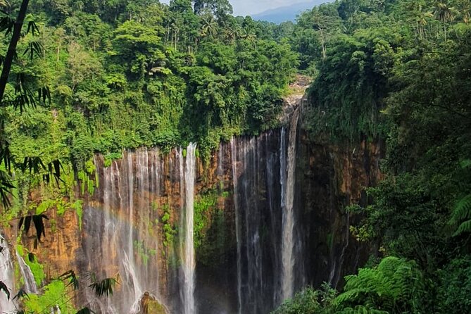 3Days - Tumpaksewu Bromo Ijen Adventure via Malang - Confirmation and Accessibility