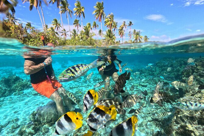 3H Adventure in JET SKI Snorkeling and Tahaa Lagoon - Introduction