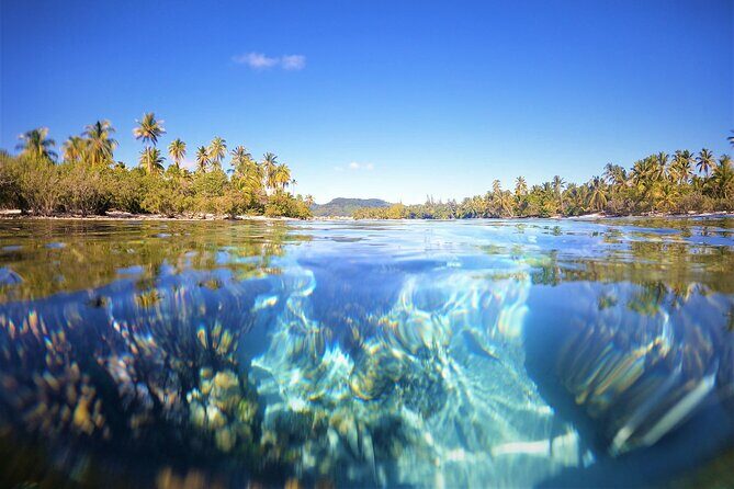 3H Adventure in JET SKI Snorkeling and Tahaa Lagoon - What Travelers Love (and What to Consider)
