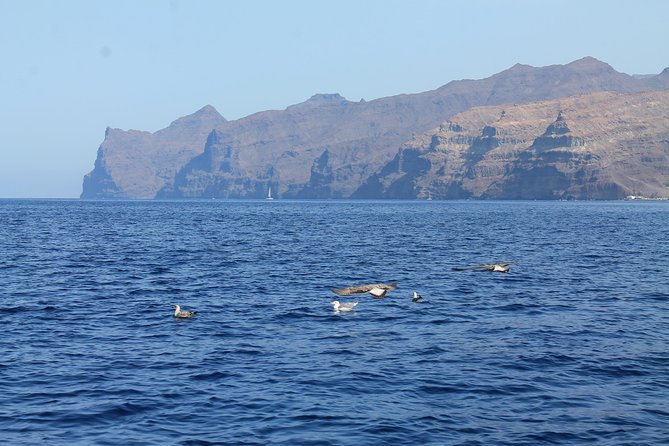 3h Boat Trip + Snorkeling in Puerto De Mogan - Cancellation Policy and Refunds