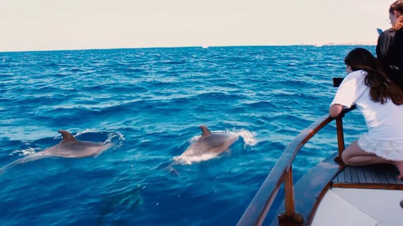 3H Private O Shared Tour to Accessible Boat En Canary Island - Inclusions
