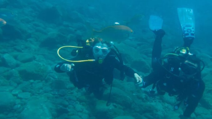 3H Private O Shared Tour to Accessible Boat En Canary Island - Additional Information