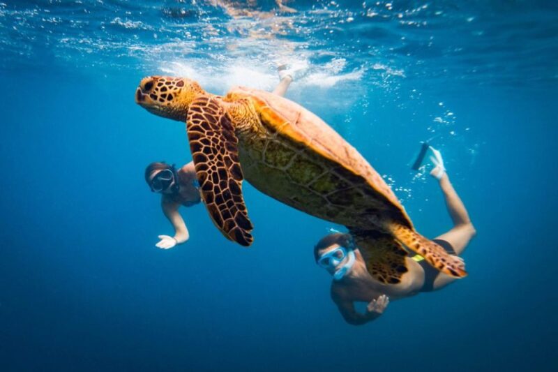 3h Snorkeling Tour: Marianna Shipwreck - Parthena - Kastraki - Highlights