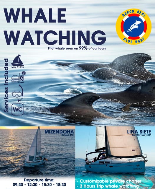 3h Whale Watching Share Tour Costa Adeje Lina7 Mizendoha - Frequently Asked Questions