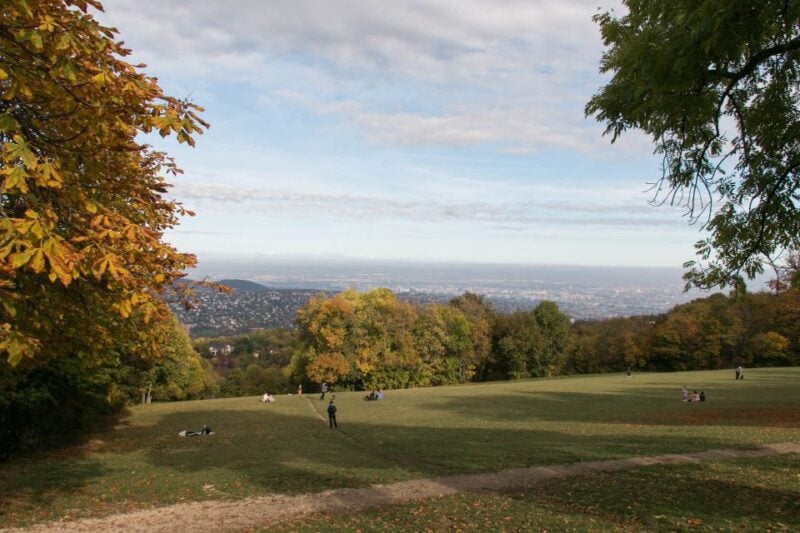 3Hour Outdoor Budapest Normafa Hike&History With a Historian - Experience Highlights