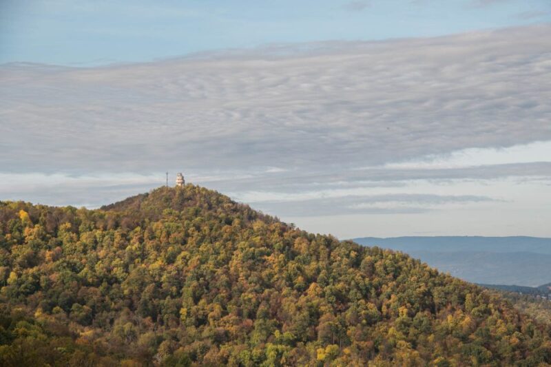 3Hour Outdoor Budapest Normafa Hike&History With a Historian - Itinerary Details