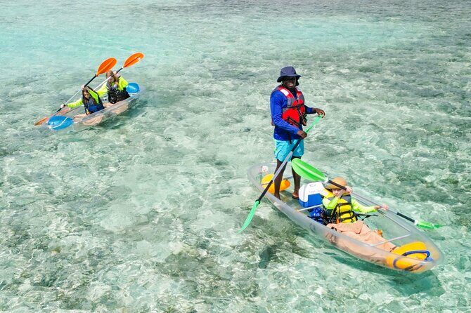 3HR Clear Kayak Mangrove and iguana island Tour in Leeward - An Overview of the Tour Experience