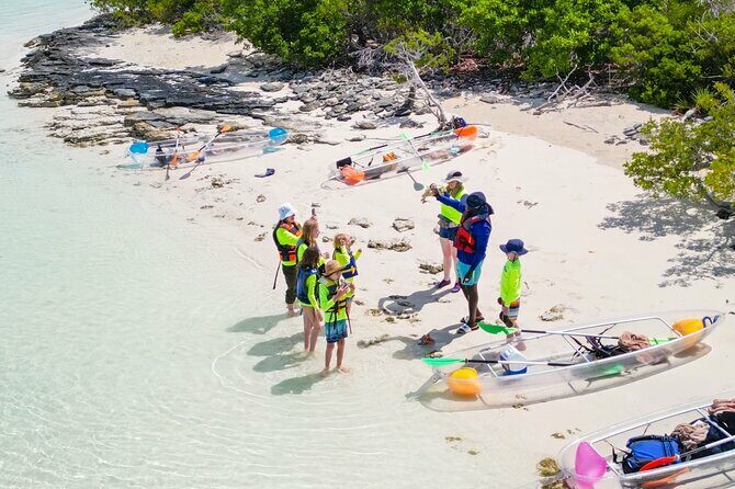 3HR Clear Kayak Mangrove and iguana island Tour in Leeward - Practical Details and Tips for Travelers