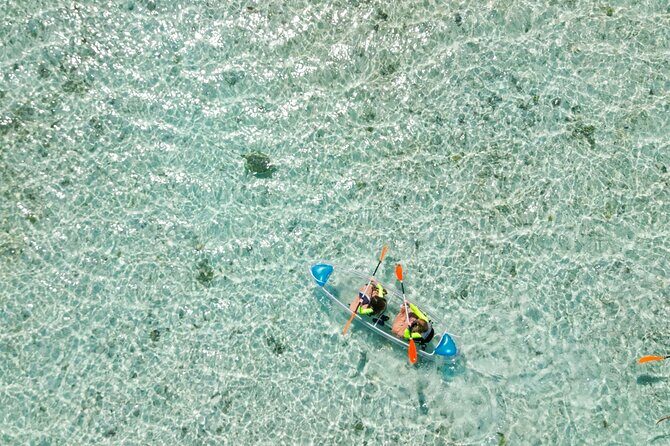3HR Clear Kayak Mangrove and iguana island Tour in Leeward - What Travelers Are Saying
