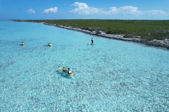3hr Clear Kayak Tour of Mangroves, Marine Life and Iguanas - A Deep Dive Into the Experience