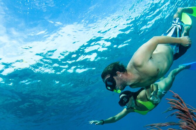 3HR Emerald Reef Snorkeling, Iguana Island and Shipwreck Tour - Positive Traveler Experiences