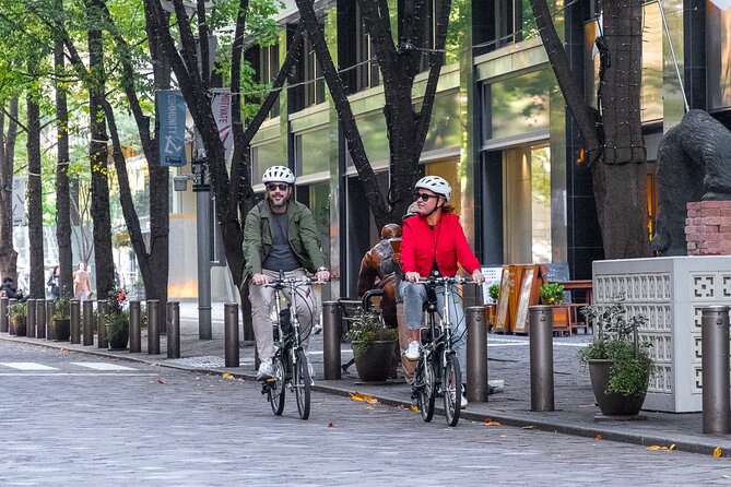 3hr Private E-Bike Cycling Tour in Tokyo, Starting at Your Hotel - Key Points
