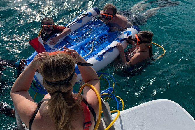 3HR Snuba, Shipwreck and Iguana Island Tour - Tour Overview
