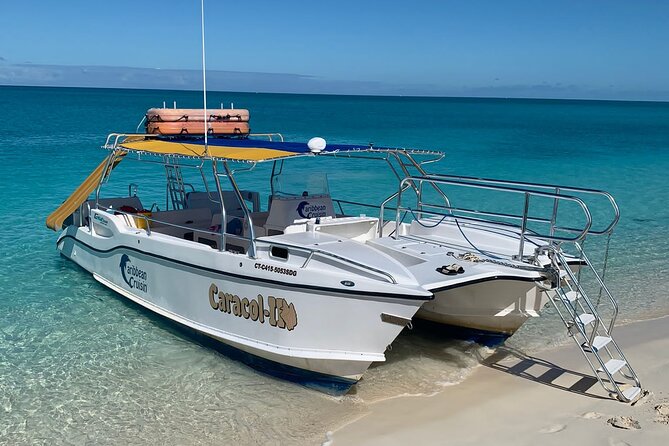 3HR Snuba, Shipwreck and Iguana Island Tour - Snuba Diving Experience