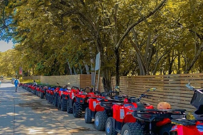 3hrs Private ATV Beach Tour at Dreams Las Mareas - Tour Duration and Pricing