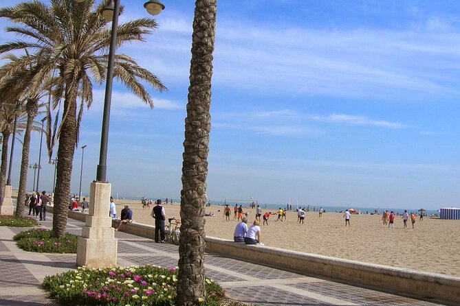 3hs-Hour Guided City Sightseeing and Beaches Bike Private Tour - Highlights and Impressions