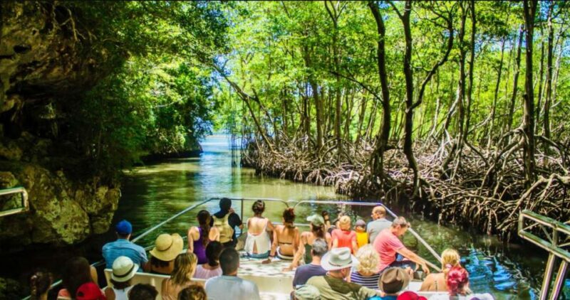 3in1 Fullday Los Haitises & Waterfal SPA From Punta Cana - Highlights of the Tour