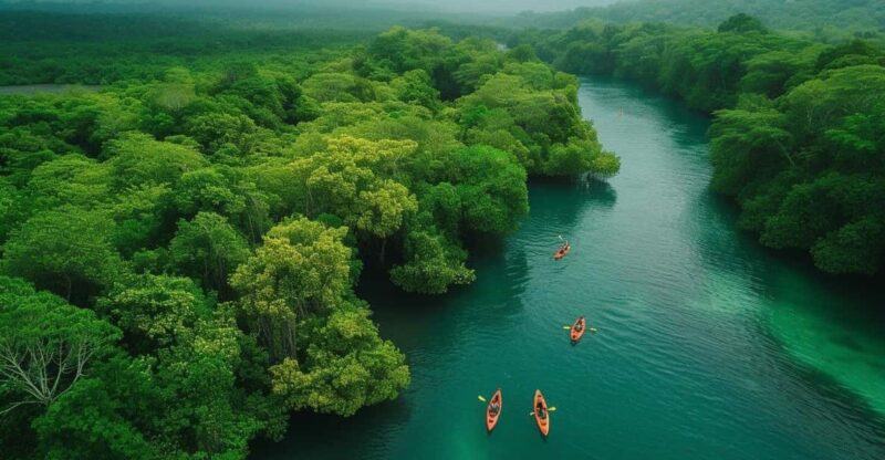 3in1: Los Haitises National Park + Waterfalls + Round Mountain - Explore Los Haitises National Park