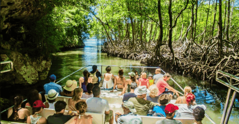 3in1: Los Haitises National Park + Yanigua Waterfall + Round Mountain - Highlights and Unique Features
