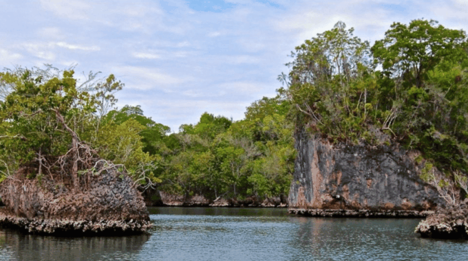 3in1: Los Haitises National Park + Yanigua Waterfall + Round Mountain - Refund and Booking Policy