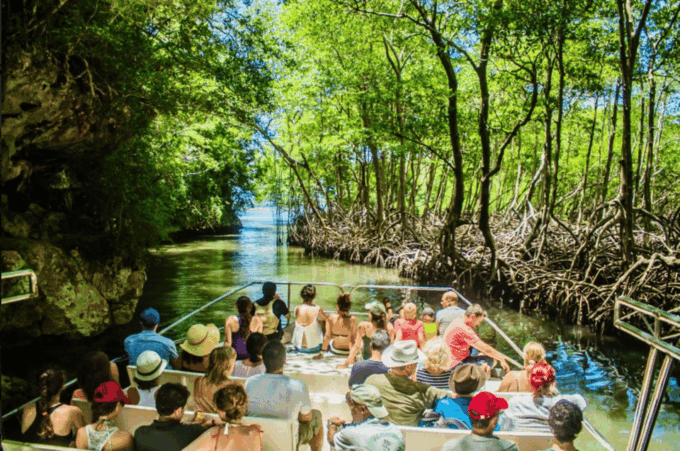 3in1: Los Haitises National Park + Yanigua Waterfall + Round Mountain - Accessibility and Restrictions