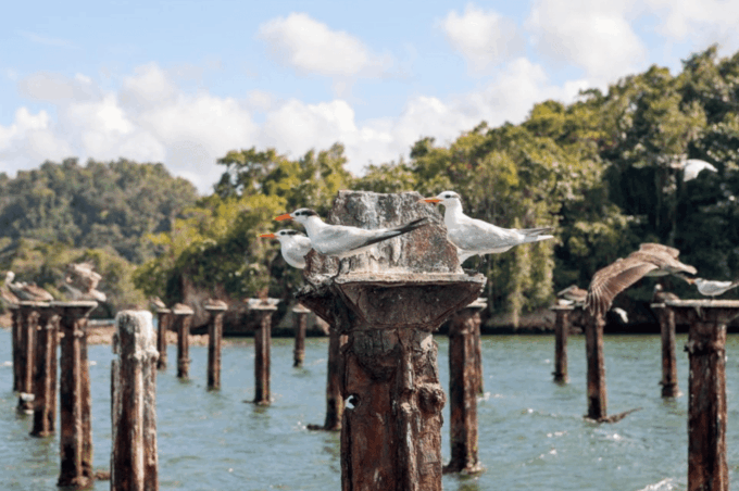 3in1: Los Haitises National Park + Yanigua Waterfall + Round Mountain - Additional Information