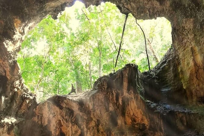 3in1: Los Haitises National Park + Yanigua Waterfall + Round Mountain - Customer Experiences