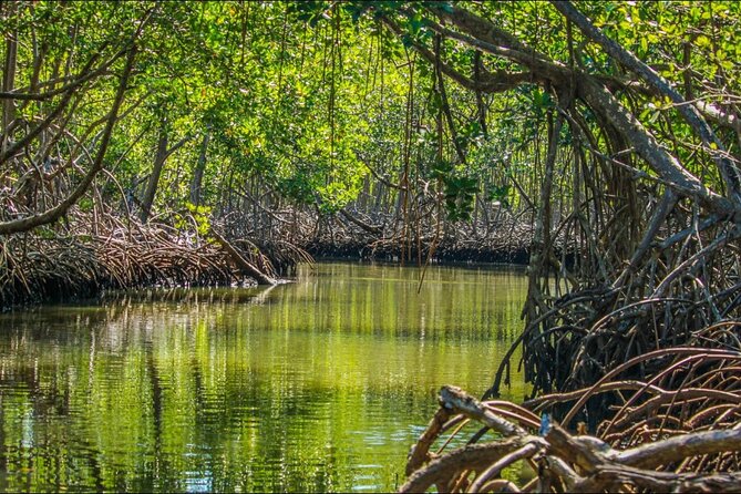 3in1: Los Haitises National Park + Yanigua Waterfall + Round Mountain - Scenic Mountain Views