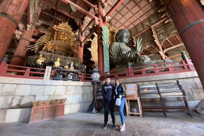 4/5/6 Hours Private Osaka Tour Designed for Cruise Passengers - Accessibility and Requirements