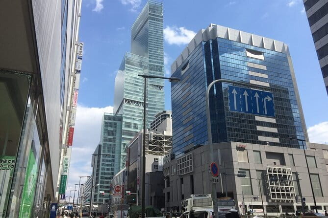4/5/6 Hours Private Osaka Tour Designed for Cruise Passengers - Highlights of the Tour