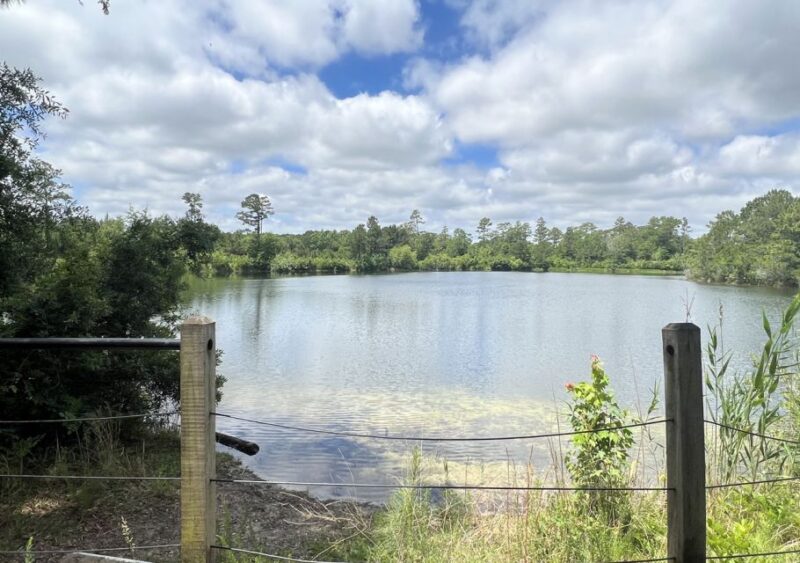 4.5-Hour Wilmington River to Sea E-Bike Adventure Tour - Key Points