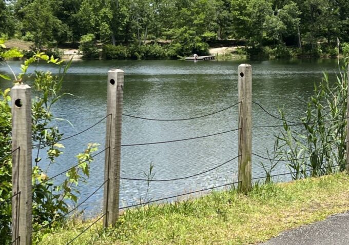 4.5-Hour Wilmington River to Sea E-Bike Adventure Tour - Weather Policy