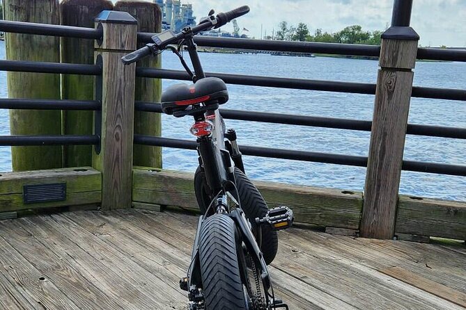 4.5-Hour Wilmington River to Sea E-Bike Adventure Tour - Scenic Route Highlights