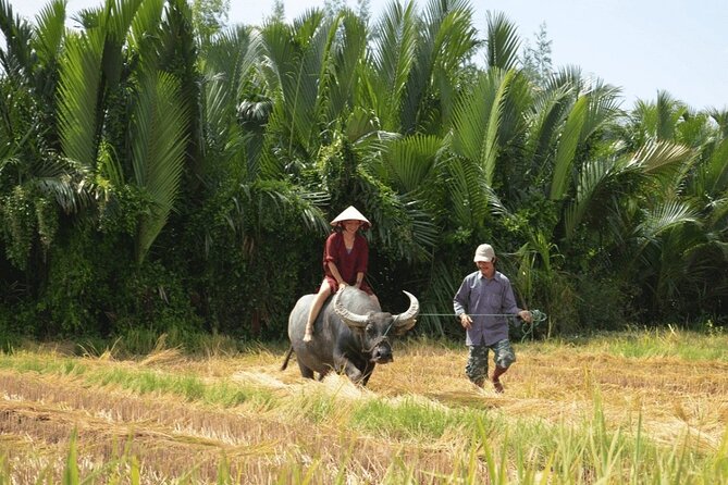 4-6 Day Vietnam Itinerary | Picturesque |  Central Vietnam - Accommodations and Meals
