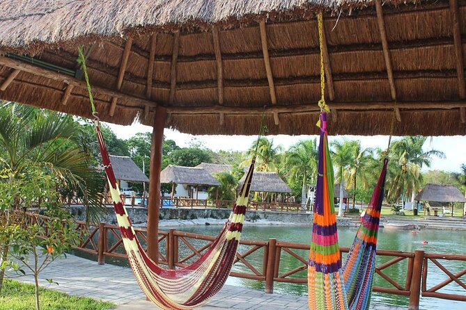 4 Cenotes Full Day Tour From Merida - Highlights of the Tour Experience