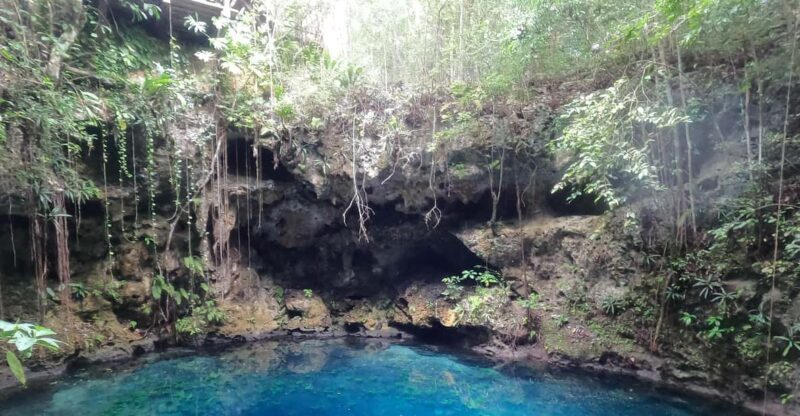 4 Cenotes Private Tour With Snorkeling - Cenote Experience